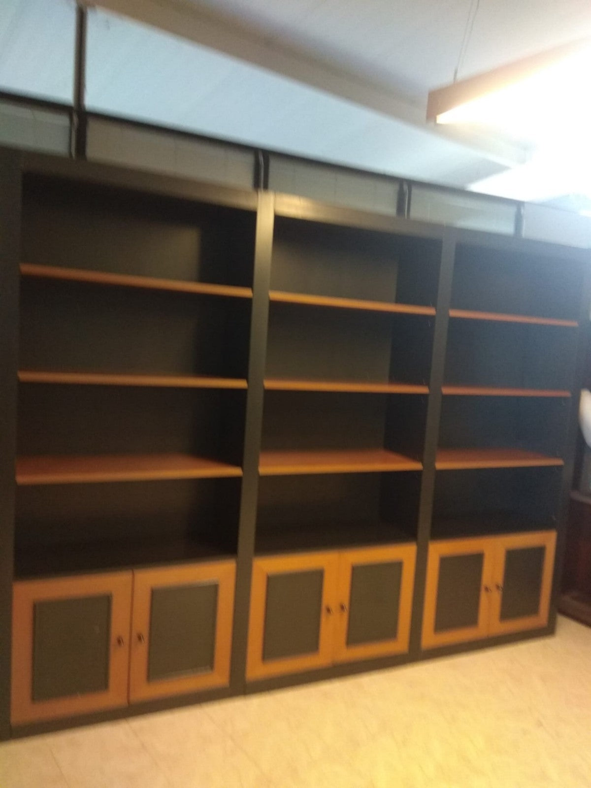 Armario estantería con puertas bajas.