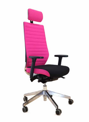 Sillón de dirección LC17